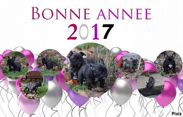 Bonne année!!