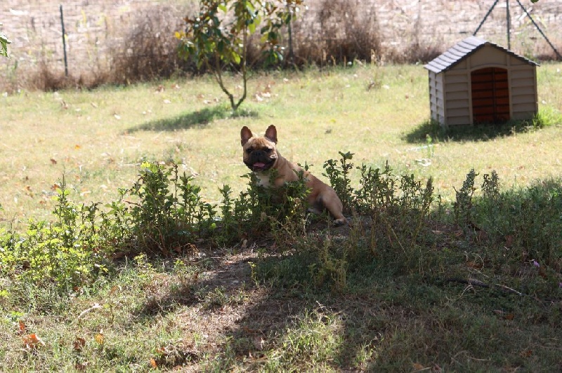 Louis Picamole des Bouilles de la Garonne dit Krokmou en balade!